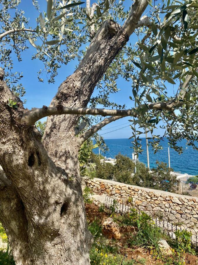 Stone Home - Sea & Landscape Marittima Εξωτερικό φωτογραφία